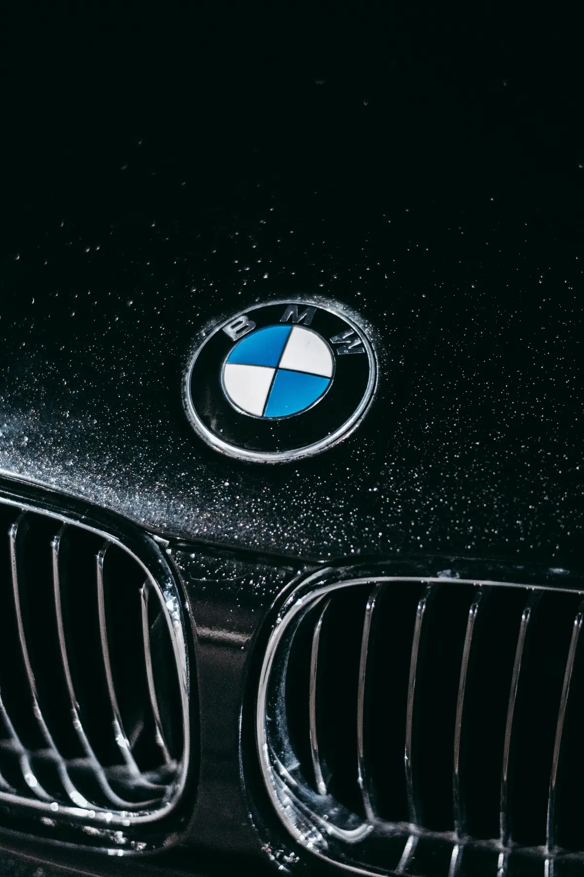 BMW logo